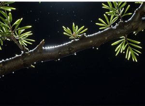 Кэти Перри опровергла слухи об ИИ в новом клипе