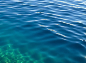 Последний в своем роде? Маленькое чудо плывет в Калифорнийском заливе