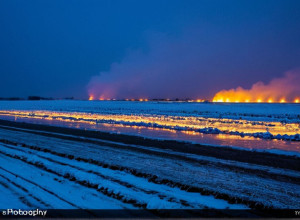Изменение климата и его последствия