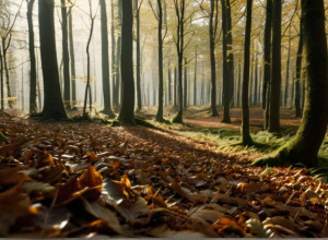 Установлена личность женщины, найденной мертвой в лесу Мюнхена