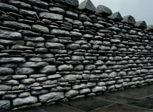 Такер Карлсон: «Я ненавижу республиканцев» – Раскол в стане сторонников Трампа