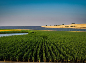 История и развитие русского языка