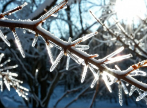Осторожно, гололедица: Германию ждут опасные условия и потепление