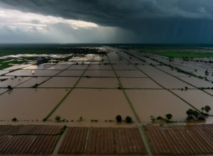 Масштабные наводнения в Таиланде: Провинции разрушены, есть жертвы