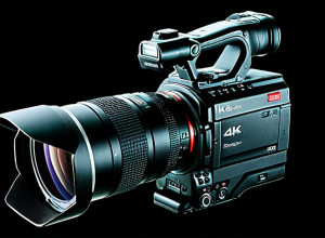 Поиск информации о компании