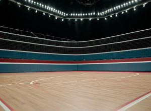 Гандбольная Бундеслига: Фленсбург и Магдебург сразятся за лидерство