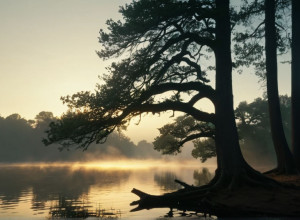 Роланд Кайзер: "Я немного мечтатель, но моя семья – это сбывшаяся мечта"