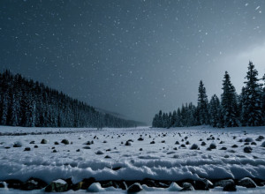 Зима в Германии: Приближается волна снегопадов и морозов