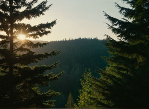 Мощный взрыв сотряс Берлин: Ликвидация 800 кг незаконной пиротехники вызвала панику