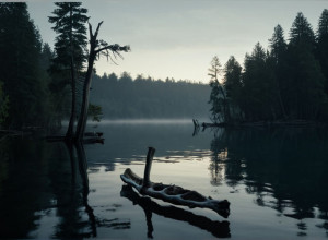 Жуткая находка в Падерборне: Обнаруженная в озере кость принадлежала пропавшему мафиозному боссу