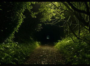 Убийство в Зиндельфингене: Тело женщины найдено спустя месяцы в тоннеле для амфибий