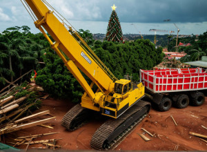 Трагедия в Бразилии: кран рухнул при установке рождественской елки, есть жертвы
