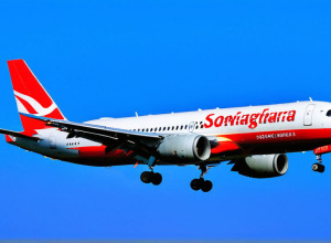 Авиакомпании отменяют рейсы: Тысячи самолетов Airbus нуждаются в экстренном обновлении ПО