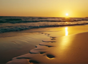 Голливудская звезда Джессика Альба показала нового бойфренда на пляже