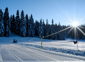 Провал немецких биатлонисток на старте Кубка мира: сборная Германии вне пьедестала