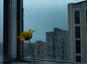 Трагедия в Дюссельдорфе: Мать и младенец найдены мертвыми, отец арестован с тяжелыми ранениями