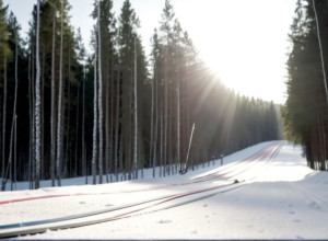 Мужская сборная Германии по биатлону совершила впечатляющий рывок, финишировав четвертой в Эстерсунде