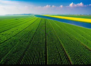 Защита окружающей среды и устойчивое развитие