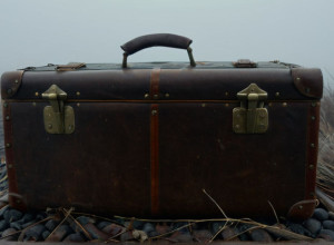 Словенец признался в убийстве инфлюенсерки: тело Стефани нашли в чемодане в Словении