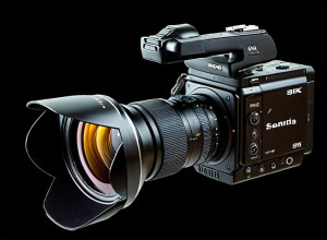 Путин подписал закон об отсрочке от призыва по мобилизации