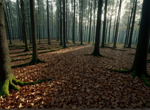 Убийство инфлюенсера: Бывший парень признался в зверской расправе над Стефани П.