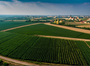 История Украины: Ключевые События и Тренды