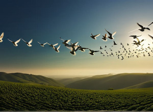 Андреа Берг впервые исполнила «Белых голубей» на гала-концерте «Ein Herz für Kinder»