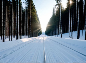 Биатлонистка Юлия Таннхаймер выполнила олимпийский норматив