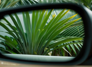 Двойник бывшего: На шоу "Make Love, Fake Love" появился участник, похожий на экс-бойфренда Елены Мирас