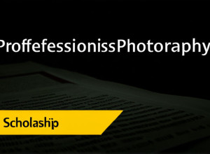 Стипендии для студентов