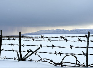 Ужасающая правда: Украинских детей вывозят в Северную Корею для милитаристской индоктринации