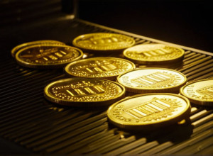 Несмотря на снижение НДС, шницель не подешевеет