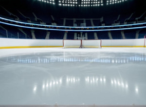 Герри Флеминг возглавит "Дрезднер Эйслёвен" с миссией спасения от вылета