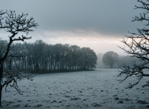 Погодный Калейдоскоп: От Тепла К Зимним Сюрпризам В Декабре