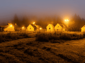 Поджог дома сирийцев в Бранденбурге