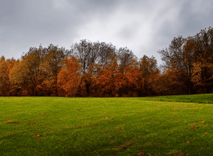 ДТП в Калькаре: Автомобиль врезался в дерево, ребенок тяжело ранен