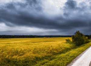 Контроль L509: Штрафы за скорость