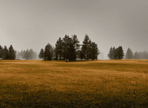 В Литве пропали четверо солдат США и военная техника