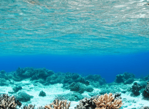 Крушение в Красном море: 6 туристов погибли