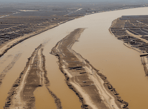 Боденское озеро мелеет: засуха и нехватка воды