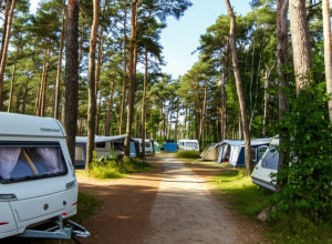 Работа кемпинга на 2025 год обеспечена - Предварительное соглашение для Regenbogen-Camp Prerow
