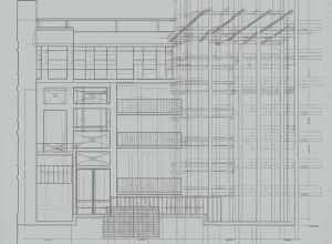 Скандал с полицейским: главный начальник полиции будет уволен