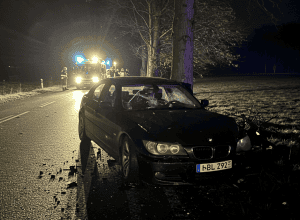 Два человека погибли в ДТП с деревом в Германии