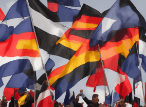 После решения Федерального ведомства по охране конституции об AfD: Федеральные земли угрожают блокадой