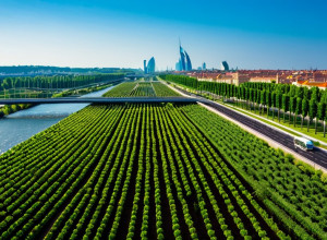 Зеленая Революция: Как Умные Города Переосмысливают Устойчивую Городскую Жизнь в Европе.