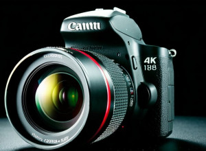 Российская экономика адаптируется к санкциям