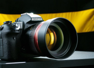 Российская экономика адаптируется к санкциям