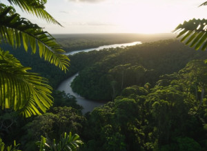 Канцлер Мерц на COP30: Германия обещает поддержку, но без конкретных цифр
