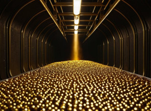 Тайные покровители кровавой милиции Судана: Золотые связи ОАЭ и Москвы