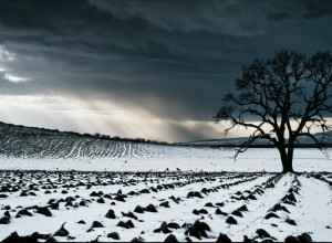 Начало пятой военной зимы: Украина на грани коллапса?